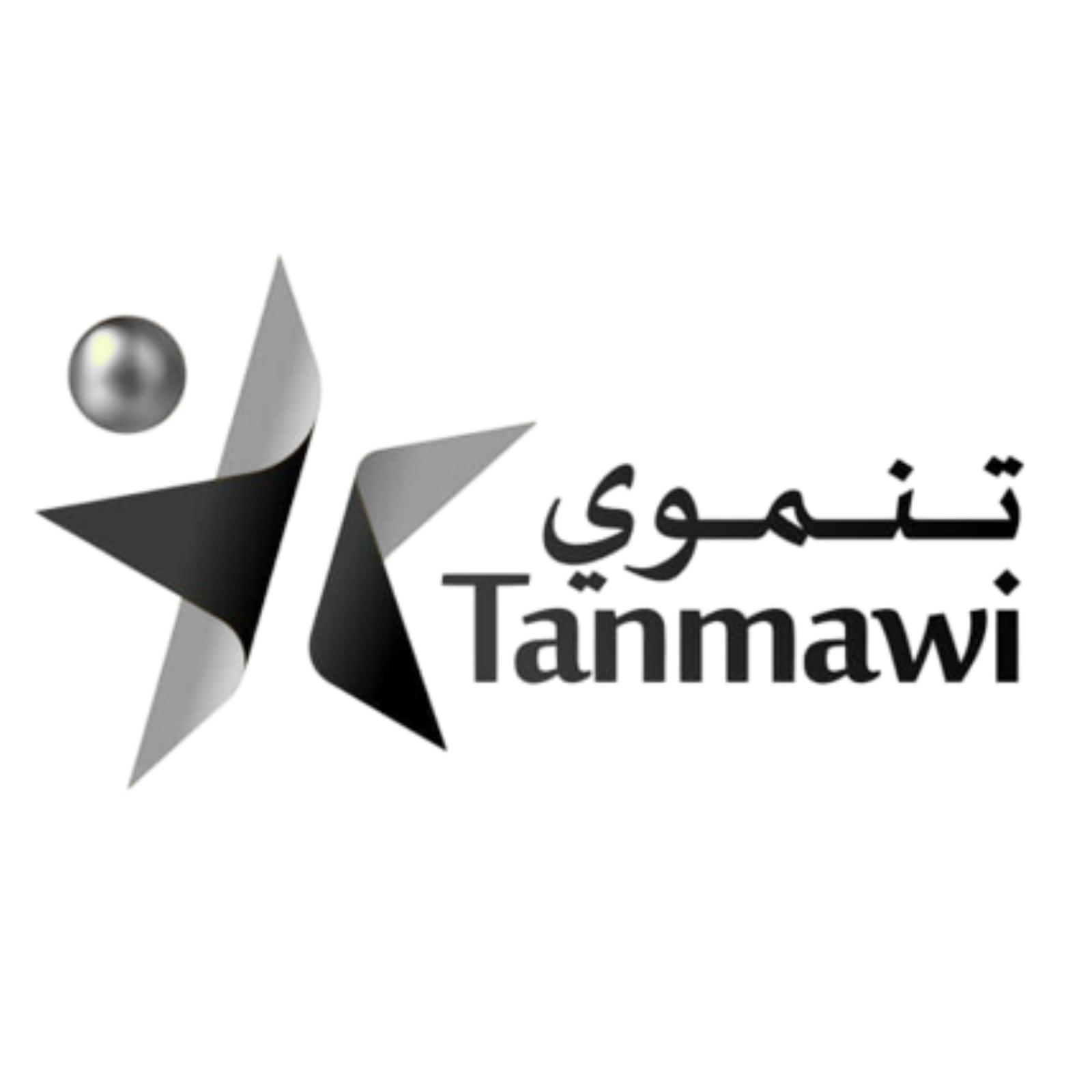 مشروع ت